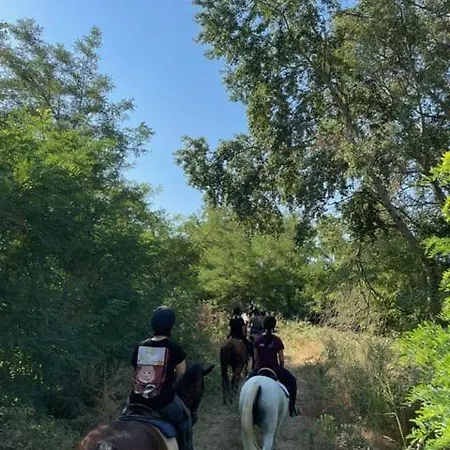 Cozy γωνιά στο χωριό * Lianokladhion