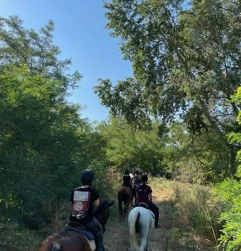 Cozy Γωνιά Στο Χωριό * Lianokladhion